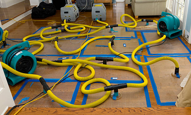 Professional Sewage Cleanup technician working in Andover, MN